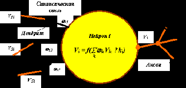 Модель мозга