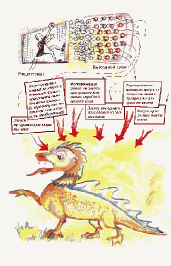 Модель мозга