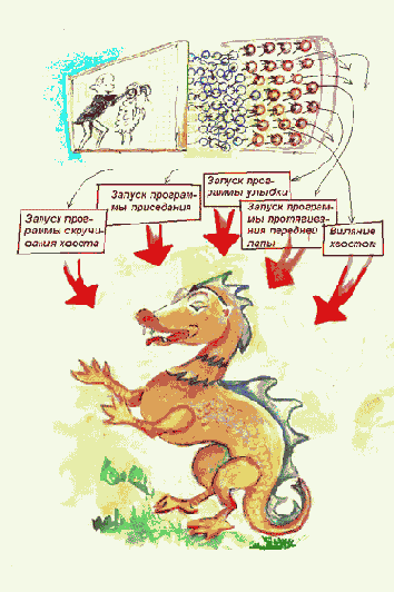 Модель мозга
