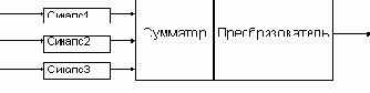 Функционирование нейрона